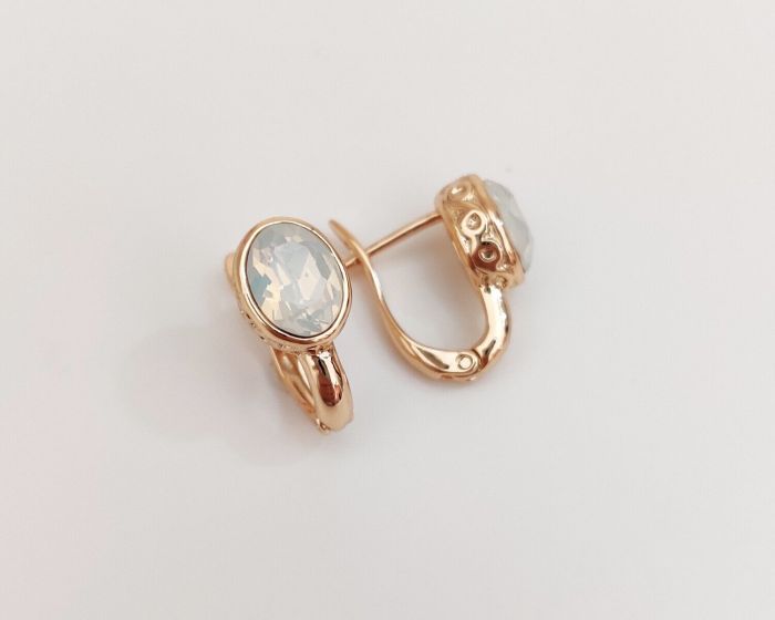 Earrings with Swarovski crystals R100779907440
