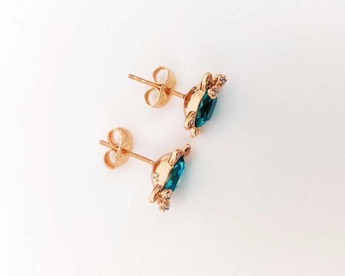 Earrings with Swarovski crystals R1024712007490