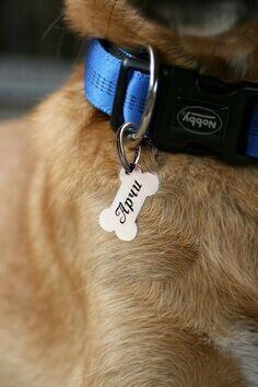 Dog tag with custom engraving DOG1.5 Steel