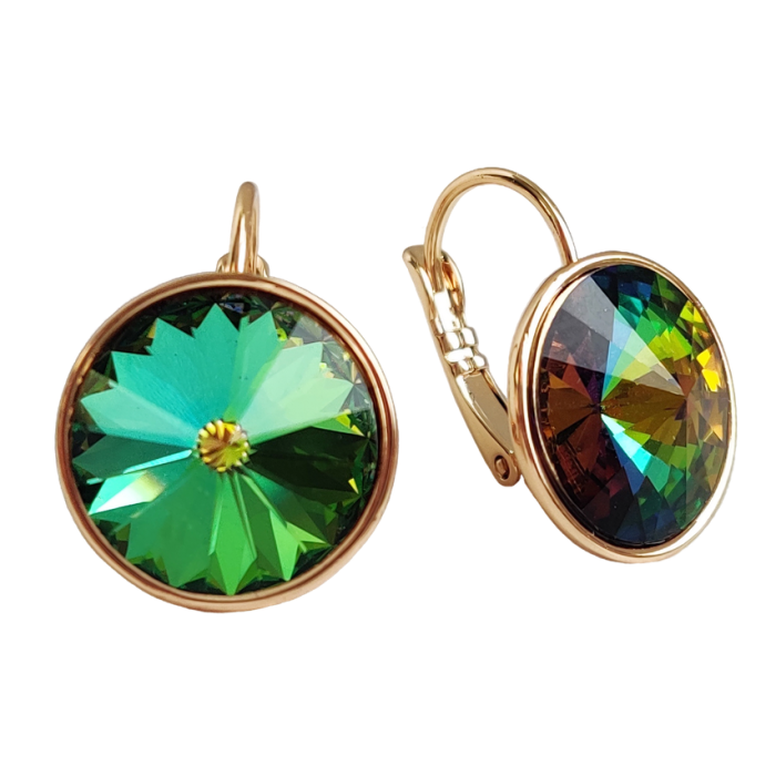 Earrings with Swarovski crystals R2475713007530