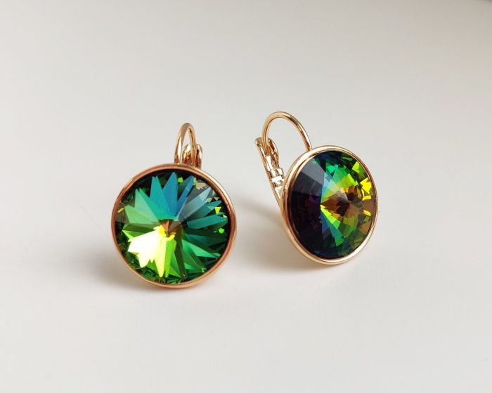 Earrings with Swarovski crystals R2475713007530