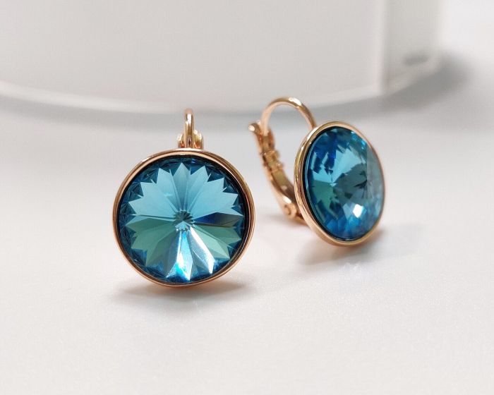 Earrings with Swarovski crystals R2478711007440