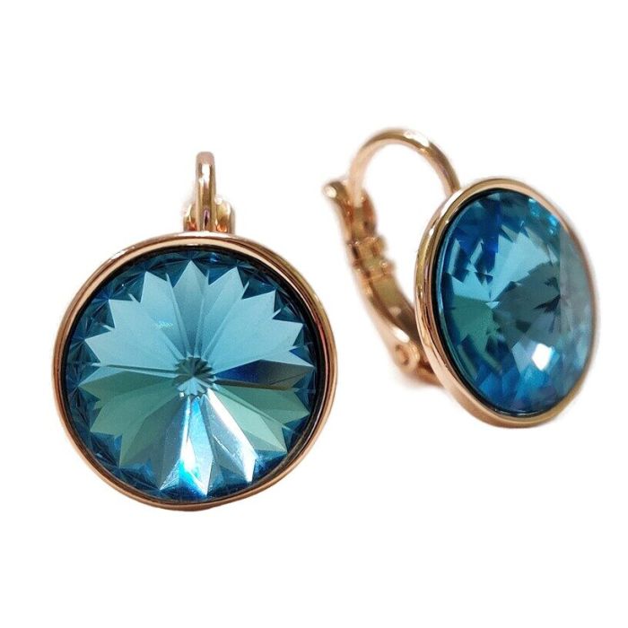 Earrings with Swarovski crystals R2478711007440
