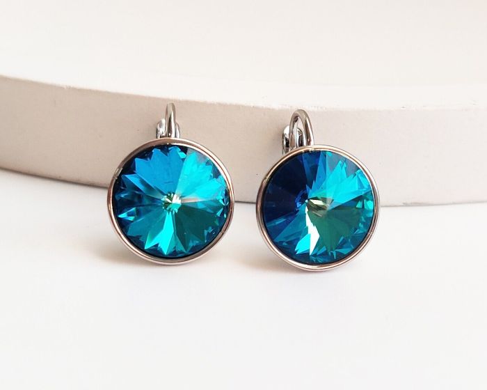 Earrings with Swarovski crystals R2480712007480
