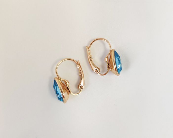 Earrings with Swarovski crystals R2545712007495