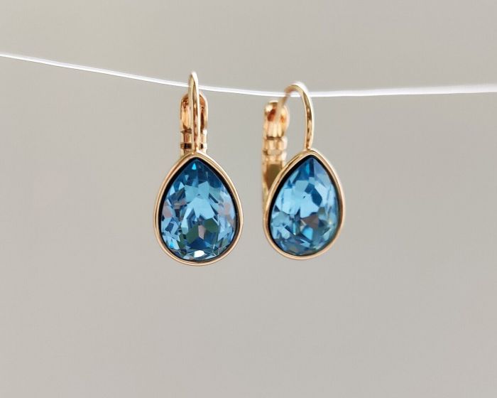 Earrings with Swarovski crystals R2545712007495