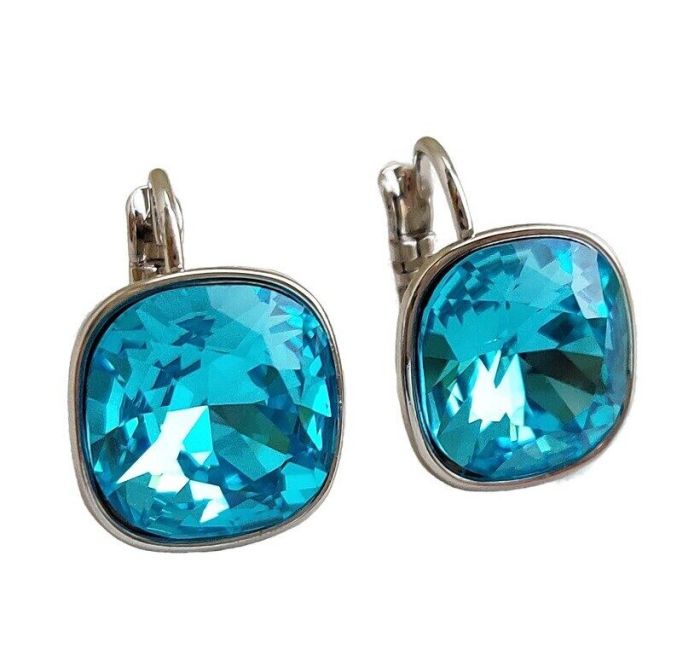 Earrings with Swarovski crystals R2567725007890