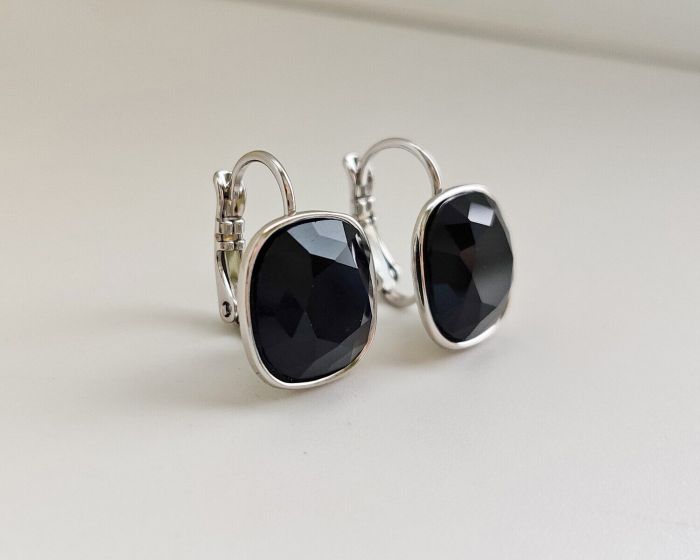 Earrings with Swarovski crystals R2572725007890