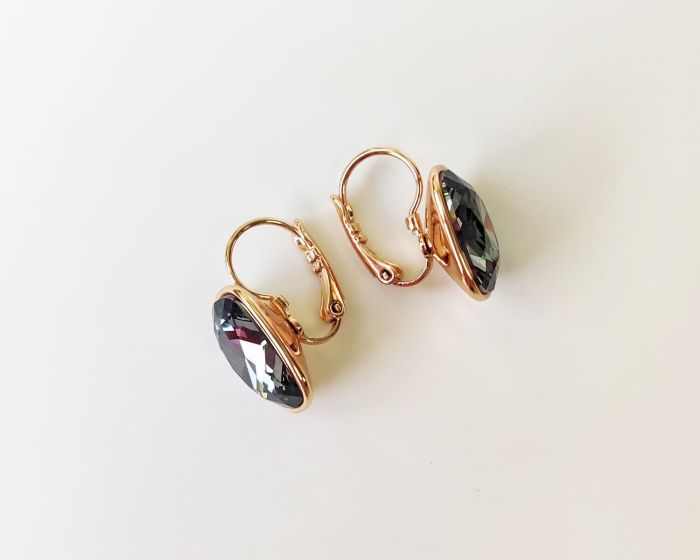 Earrings with Swarovski crystals R2593725007990