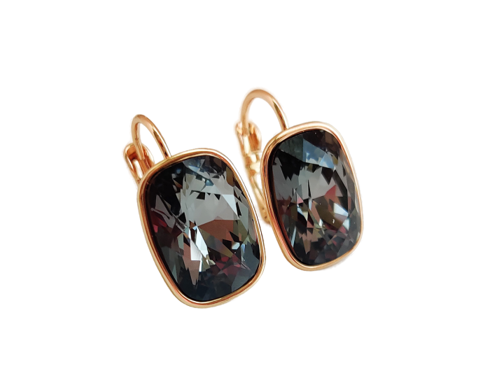 Earrings with Swarovski crystals R2593725007990