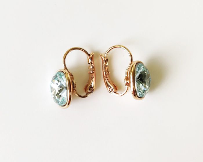 Earrings with Swarovski crystals R2604715007680