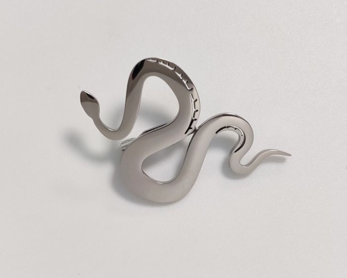 Snake brooch R264674807170