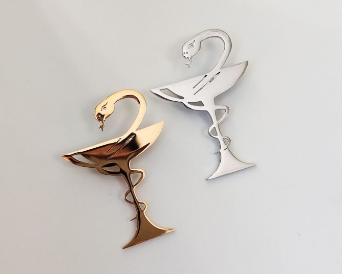 Steel brooch R267474807160