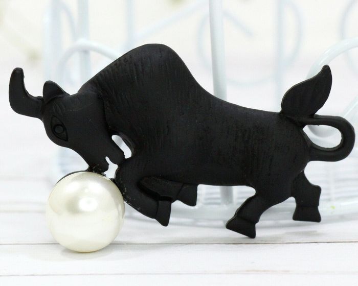 New Year Symbol Brooch F631773907140 F631773907140