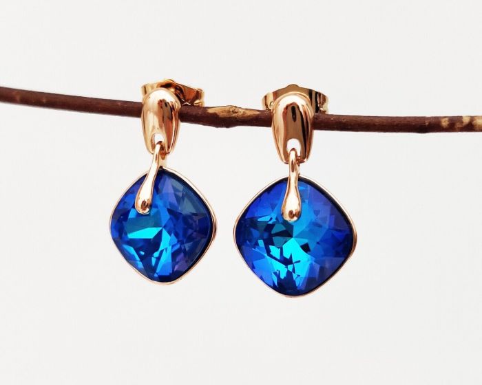 Earrings with Swarovski crystals R0971715007590