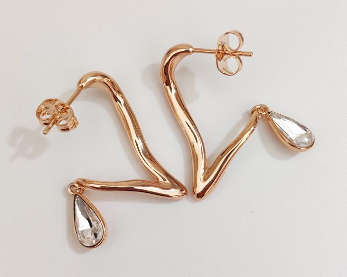 Earrings with Swarovski crystals R0973712007490
