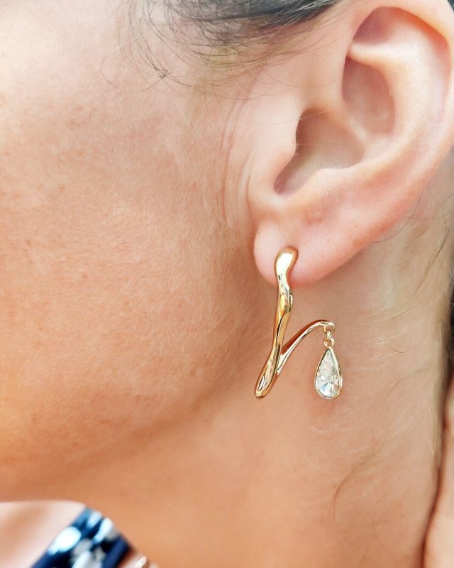 Earrings with Swarovski crystals R0976712007490