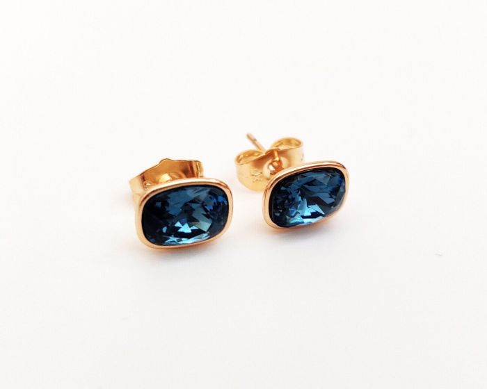 Earrings with Swarovski crystals R097879907440