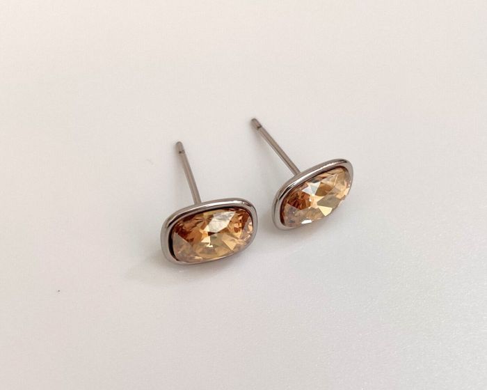 Earrings with Swarovski crystals R098079907440