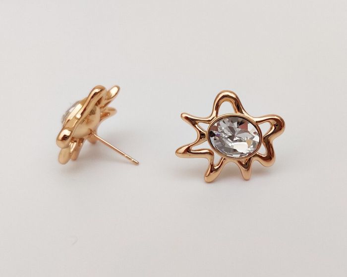 Earrings with Swarovski crystals R0987712007440