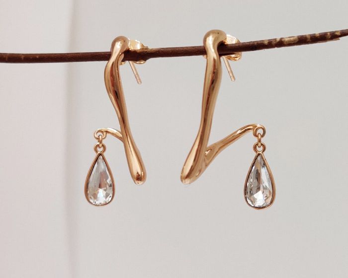 Earrings with Swarovski crystals R0976712007490